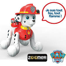 Tout les personnages incluant chase ruben stella everest marcus zuma rocky et ryder sont pret a imprimer pour un maximum de plaisir avec les enfants. Buy Zoomer Marcus Paw Patrol On Robot Advance