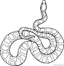 Ink pen coloring page adults head boa constrictor patterns line art tattoo. Realistic Boa Constrictor Coloring Page Coloringall