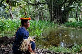 Resultado de imagen para que es la amazonia aqui en ecuador