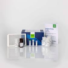 Image result for Gold 1999 AAV