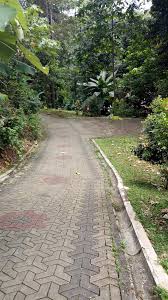 Hotels near kuala lumpur intl airport (kul) hotels near sultan abdul aziz shah airport (szb) motels near sultan abdul aziz shah airport (szb) motels its not easy to find but if you put 'air terjun taman rimba komanwel' it should come up. Kl Eco Park Taman Eko Rimba Kuala Lumpur Kuala Lumpur Forest Eco Park Formerly Bukit Nanas