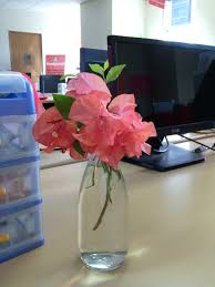 We did not find results for: Bougenville Dan Botol Bekas Dyahikhsanti