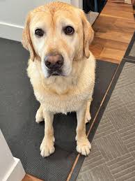 Gerçekten “BÜYÜMEK” istiyorsan; 1- Cahil insanlarla asla tartışma. 2-  Başına gelen talihsizliği çabuk kabullen. 3- Kişiler hakkında daha az  konuş. 4- Sorunlara üzülmek yerine çözüme odaklan. 5- Başkalarının  hatalarını daha az yargıla.