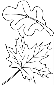 Perhaps you don't have kids of your own but you often have connections and relatives that come over in the same way. Free Printable Leaf Coloring Pages For Kids