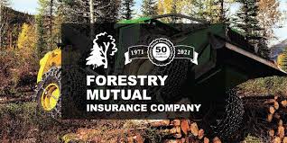Forest insurance is an independent agency that has been providing trusted advice on personal, business, and aviation insurance to the oak park, river forest, forest park, and chicago. Home Forestry Mutual Insurance Company