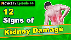 Kidney failure (also called renal failure) means one or both kidneys can no longer function well on their own. Kidney Failure Symptoms 12 Signs Of Chronic Kidney Disease Ckd Other Kidney Damage Youtube