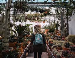 Walk down the street in hong kong and it doesn't take long to walk by either a chain pharmacy or a mom and pop shop. Diy How To Make Your Own Succulent Planters
