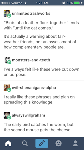 Birds Of The Same Feather Flock Together Essay Pin By Lena Duepre On Textposts Words Quotes Tumblr Funny