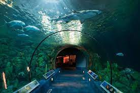 Check spelling or type a new query. Moody Gardens Hours Admission Prices Tour Texas