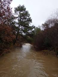 Back to a perennial stream. Science And Management Of Intermittent Rivers And Ephemeral Streams Smires