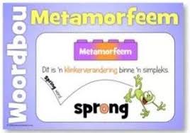 Metamorfeem Gekry Op Fb Education Afrikaans