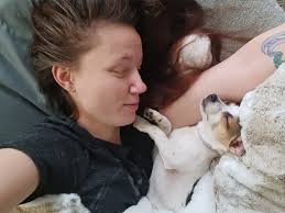 Lost dog Augie in Lakewood near Steilacoom lake