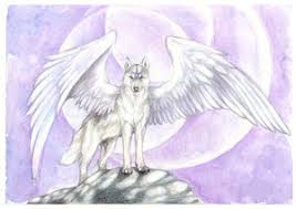 Maybe you would like to learn more about one of these? Amity The White Winged Wolf