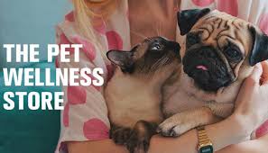 Maybe you would like to learn more about one of these? Kriser S Natural Pet Visit Newport Beach