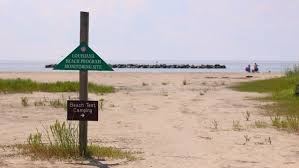 Experience unparalleled luxury & beauty 🌴 happily situated in emerald bay beach, exuma; Into The Wild Of Grand Isle Country Roads Magazine