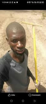 Gambia become more colour full Left picture: probably own pollen set,  rixford Other: Cross polinated darkstar