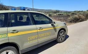 Trend Google: bracconaggio