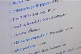 $75 (saint joseph) pic hide this posting restore restore this posting. Dog Flipping More Common Than You Think Craigslist Gateway To Pets For Profit Fox 2