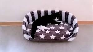 Pajamas are one piece pull over. Katzenbett Selber Machen Diy Cat Bed Youtube