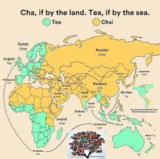 Essentially There Are Only 2 Words For Tea Common Around The World Tea In The Western Hemisphere A In 2020 Map Silk Road Tea
