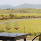 Tuesdays on the Terrace at McGrail event image