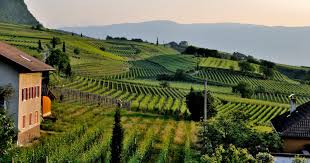 Il Dl Siccit&agrave; modifica il Tu: attivit&agrave; di edilizia libera pi&ugrave; ampia per ...