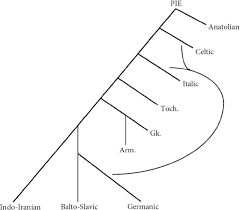 Phylogenetic And Areal Models Of Indo European Relatedness