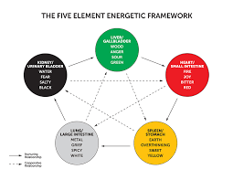 In this video paul andersen answers the very simple question: The Five Element Energetic Framework Breastcancer Com