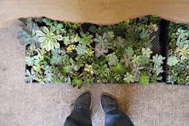 Maybe you would like to learn more about one of these? Seattle Wholesale Grower S Market Rain Or Shine Guides