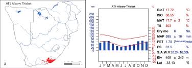 Image result for Rhytachne latifolia