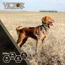 Victor dog food is known in the veterinary field as being a quality food for dogs that need to focus on weight gain. Victor Super Premium Pet Food Posts Facebook