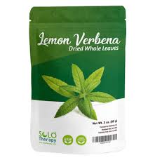 Image result for Aloysia citrodora