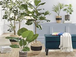 We did not find results for: How To Use Artificial Plants Indoors Grandin Road Blog