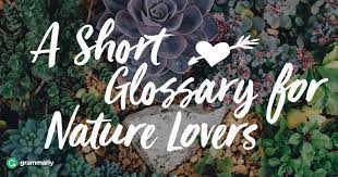 8 Words For Nature Lovers Nature Words Nature Lover Words