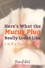 What does it look like when you lose your mucus plug. Pin On Breastfeeding Help