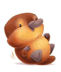 Baby Platypus Baby Platypus Cute Animal Drawings Cute Drawings