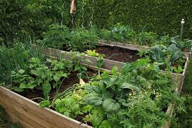 Bei der gartengestaltung legt jeder andere prioritäten. 15qmd6j8hczlxm