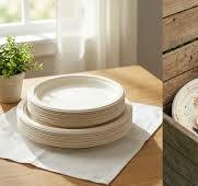 Compostable, Eco-Friendly Disposable Tableware