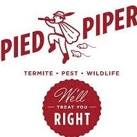 Pied piper pest control, inc., is enthusiastically committed to providing property owners and managers the friendliest, safest and most effective solutions to eradicate and prevent pest and termite problems. Pied Piper Pest Control Reviews Glassdoor