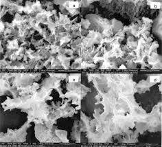 You benefit from this flexibility and can count on us to recognise the direction you want to go and understand with the countless variables involved, hendrik veder group's expertise gives peace of mind to you and other professionals in the business. Soil Organic Matter Clogs Mineral Pores Mikutta 2004 Soil Science Society Of America Journal Wiley Online Library