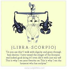 Shareable Libra Scorpio Meme Horoscope Cats Cathoroscope Catart Catcards Birth Libra Scorpio Cusp Libra And Scorpio Compatibility Libra Sun Scorpio Moon