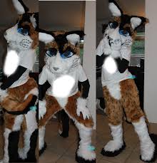 Lacy Fursuit:. — Weasyl