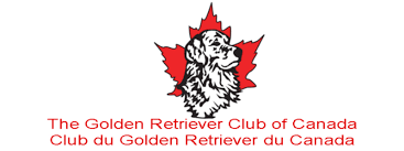 The golden retriever club of canada approved mentor/tutor program. Golden Retriever Club Of Canada 2021 National