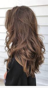 24 ash gray hair dye. 40 Trendy Brown Hair Color Ideas You Can Try Brown Hair Colors Brown Hair With Caramel Highlights Ashy Brown Hair Chocolate Brown Hair Imtopic