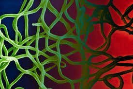 Lyme Disease Dubious Alternative Treatments Are Killing Patients Bloomberg