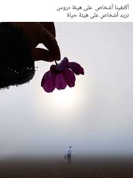 خواطر راقية Cool Pictures For Wallpaper Arabic English Quotes Arabic Quotes