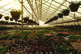 Check spelling or type a new query. Edwards Greenhouse Posts Facebook