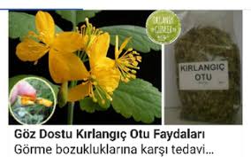 Gorme Bozukluguna Karsi Tedavi Otlar Sifali Otlar Bitki