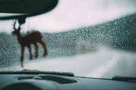 Maybe you would like to learn more about one of these? Window Tint Removal Passaic Window Tinting Nj