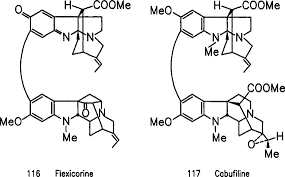 Image result for Strychnos matopensis